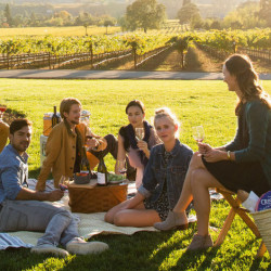 Things to Do in Napa Valley