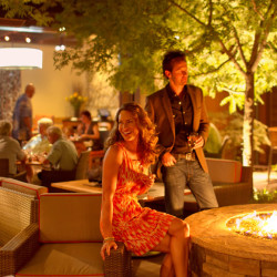 Best Restaurants Napa Valley
